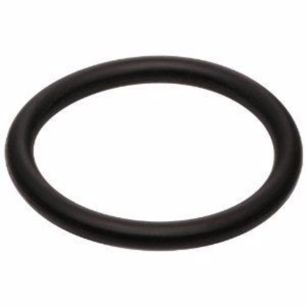 O-Ring, Kalrez, End Cap ISC Glass Neb